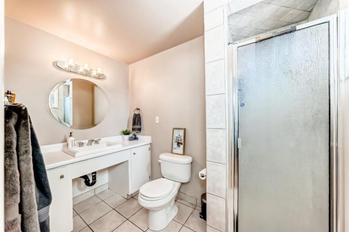 19 Meadowview Road Sw, Calgary, AB - Indoor Photo Showing Bathroom