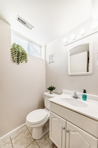 19 Meadowview Road Sw, Calgary, AB - Indoor Photo Showing Bathroom