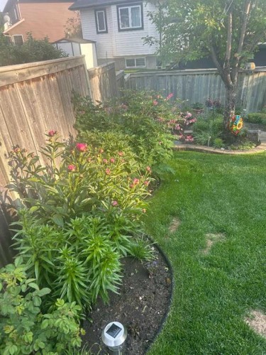 115 Cove Crescent, Chestermere, AB - Outdoor