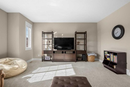 490 Mahogany Manor Se, Calgary, AB - Indoor Photo Showing Living Room