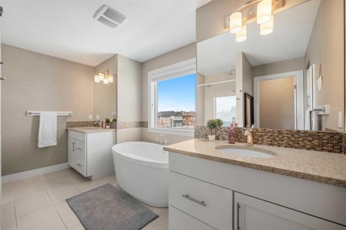 490 Mahogany Manor Se, Calgary, AB - Indoor Photo Showing Bathroom
