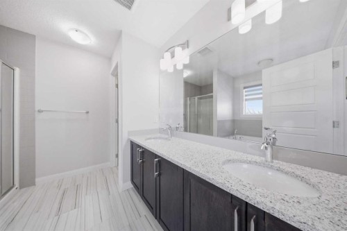 32 Red Embers Square Ne, Calgary, AB - Indoor Photo Showing Bathroom
