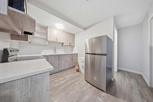 32 Red Embers Square Ne, Calgary, AB - Indoor Photo Showing Kitchen With Stainless Steel Kitchen