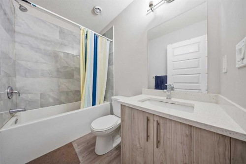 32 Red Embers Square Ne, Calgary, AB - Indoor Photo Showing Bathroom