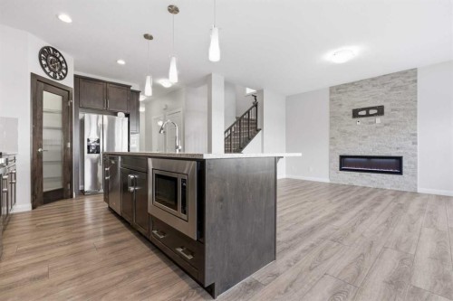 32 Red Embers Square Ne, Calgary, AB - Indoor Photo Showing Kitchen With Fireplace With Stainless Steel Kitchen With Upgraded Kitchen