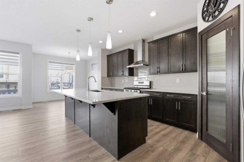 32 Red Embers Square Ne, Calgary, AB - Indoor Photo Showing Kitchen With Stainless Steel Kitchen With Upgraded Kitchen