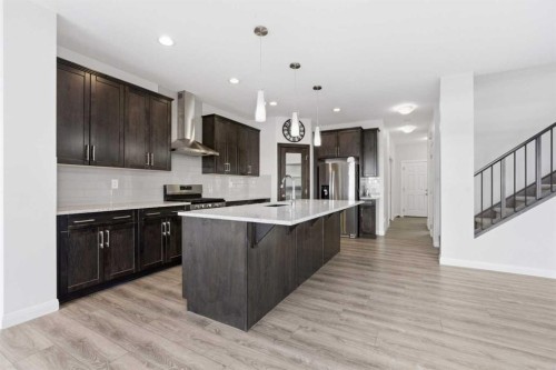 32 Red Embers Square Ne, Calgary, AB - Indoor Photo Showing Kitchen With Stainless Steel Kitchen With Upgraded Kitchen