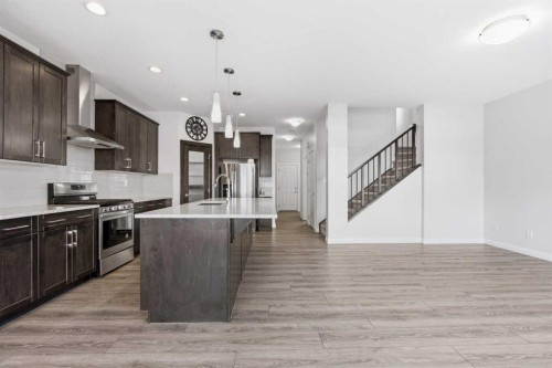 32 Red Embers Square Ne, Calgary, AB - Indoor Photo Showing Kitchen With Stainless Steel Kitchen With Upgraded Kitchen