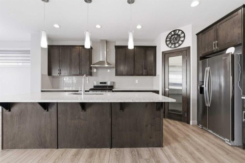 32 Red Embers Square Ne, Calgary, AB - Indoor Photo Showing Kitchen With Stainless Steel Kitchen With Upgraded Kitchen
