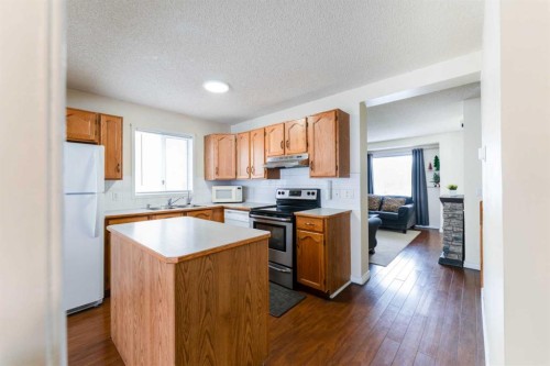 31 Coventry Lane Ne, Calgary, AB - Indoor Photo Showing Kitchen With Double Sink
