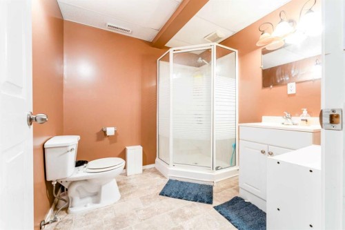 31 Coventry Lane Ne, Calgary, AB - Indoor Photo Showing Bathroom