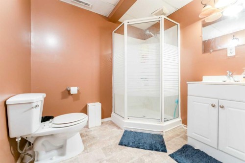 31 Coventry Lane Ne, Calgary, AB - Indoor Photo Showing Bathroom