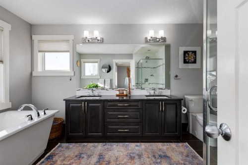 306 Cooperstown Common Sw, Airdrie, AB - Indoor Photo Showing Bathroom