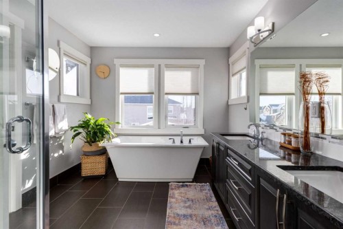 306 Cooperstown Common Sw, Airdrie, AB - Indoor Photo Showing Bathroom