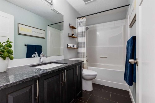 306 Cooperstown Common Sw, Airdrie, AB - Indoor Photo Showing Bathroom