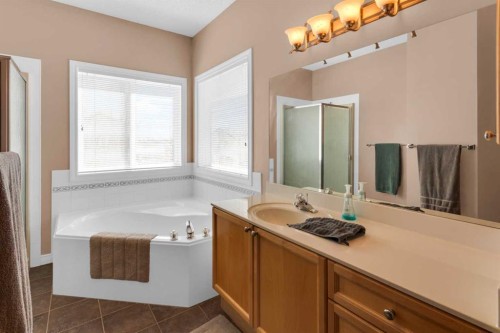 135 Citadel Estates Place Nw, Calgary, AB - Indoor Photo Showing Bathroom