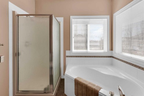 135 Citadel Estates Place Nw, Calgary, AB - Indoor Photo Showing Bathroom