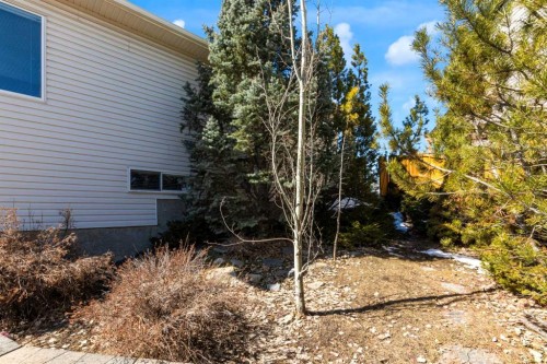 135 Citadel Estates Place Nw, Calgary, AB - Outdoor