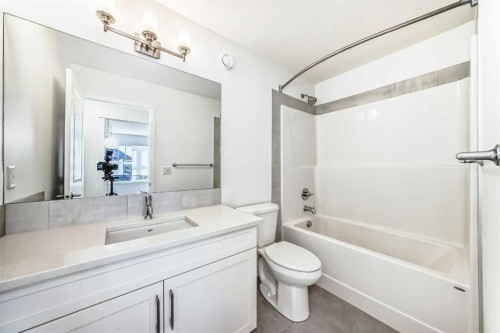 64 Masters Row Se, Calgary, AB - Indoor Photo Showing Bathroom