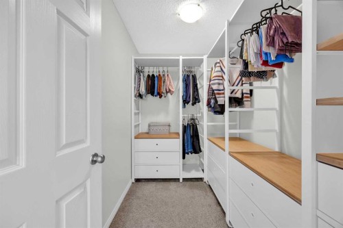 19 Bridleridge Green Sw, Calgary, AB - Indoor With Storage