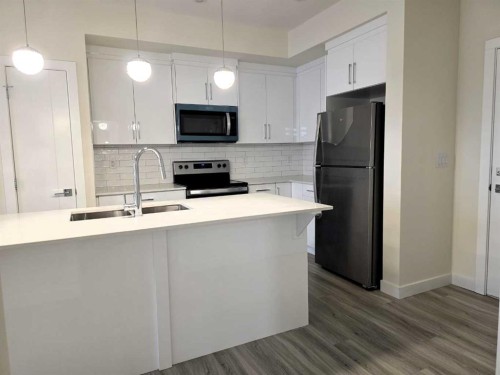 2220-15 Skyview Point Crescent, Calgary, AB - Indoor Photo Showing Kitchen With Upgraded Kitchen