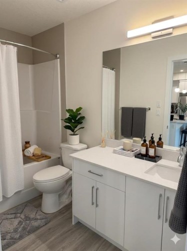 2220-15 Skyview Point Crescent, Calgary, AB - Indoor Photo Showing Bathroom