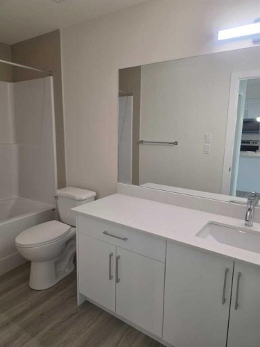 2220-15 Skyview Point Crescent, Calgary, AB - Indoor Photo Showing Bathroom