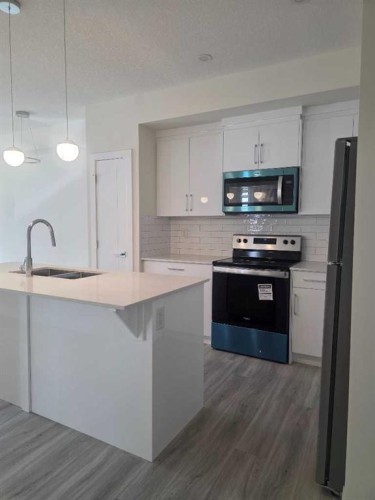 2220-15 Skyview Point Crescent, Calgary, AB - Indoor Photo Showing Kitchen With Upgraded Kitchen