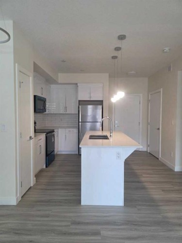 2220-15 Skyview Point Crescent, Calgary, AB - Indoor Photo Showing Kitchen With Upgraded Kitchen