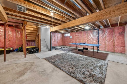 60 Citadel Ridge Close Nw, Calgary, AB - Indoor Photo Showing Basement