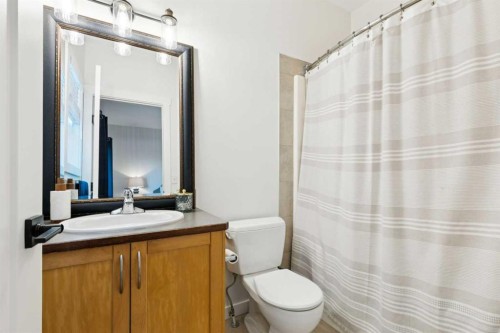 852 Everridge Drive Sw, Calgary, AB - Indoor Photo Showing Bathroom
