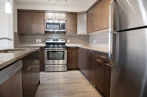 206 Redstone View Ne, Calgary, AB - Indoor Photo Showing Kitchen With Upgraded Kitchen
