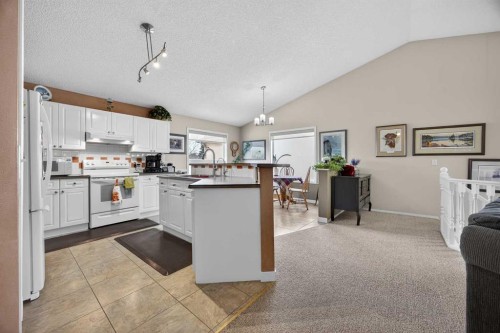 466 Douglas Glen Boulevard Se, Calgary, AB - Indoor Photo Showing Kitchen