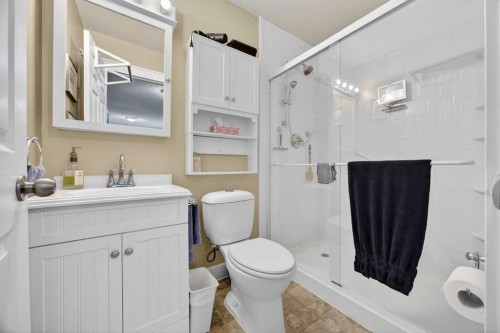 466 Douglas Glen Boulevard Se, Calgary, AB - Indoor Photo Showing Bathroom