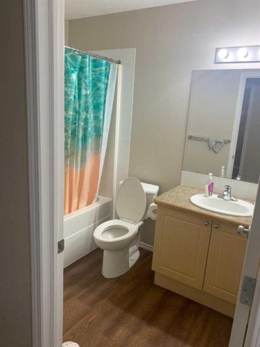 112 Covepark Rise Ne, Calgary, AB - Indoor Photo Showing Bathroom