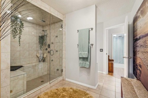 328 Cove Road, Chestermere, AB - Indoor Photo Showing Bathroom