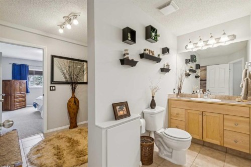 328 Cove Road, Chestermere, AB - Indoor Photo Showing Bathroom