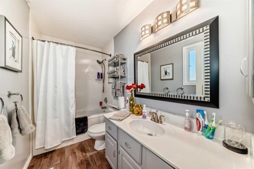 8 Meadow Place Se, Airdrie, AB - Indoor Photo Showing Bathroom