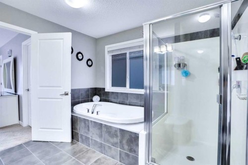 100 Redstone Parade Ne, Calgary, AB - Indoor Photo Showing Bathroom