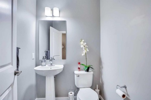100 Redstone Parade Ne, Calgary, AB - Indoor Photo Showing Bathroom