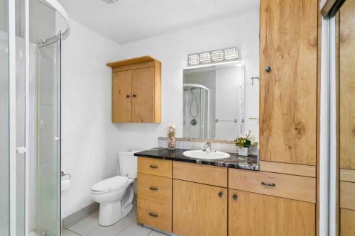 220 Macewan Glen Place Nw, Calgary, AB - Indoor Photo Showing Bathroom