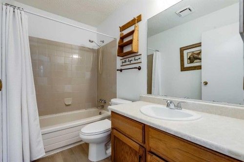 21 Mountain Circle Se, Airdrie, AB - Indoor Photo Showing Bathroom