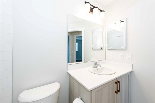 568 Legacy Circle Se, Calgary, AB - Indoor Photo Showing Bathroom