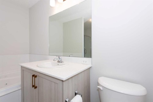 568 Legacy Circle Se, Calgary, AB - Indoor Photo Showing Bathroom
