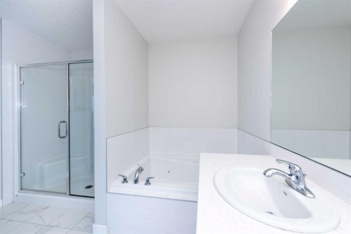 568 Legacy Circle Se, Calgary, AB - Indoor Photo Showing Bathroom