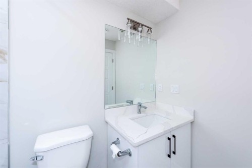 568 Legacy Circle Se, Calgary, AB - Indoor Photo Showing Bathroom