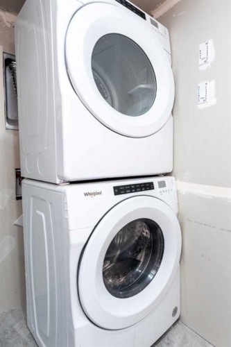 568 Legacy Circle Se, Calgary, AB - Indoor Photo Showing Laundry Room