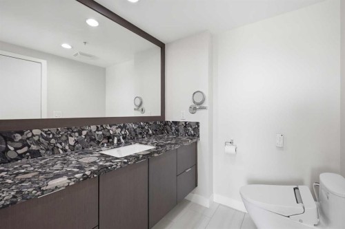 1606-519 Riverfront Avenue Se, Calgary, AB - Indoor Photo Showing Bathroom