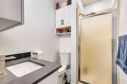 133 6 Avenue Se, Three Hills, AB - Indoor Photo Showing Bathroom