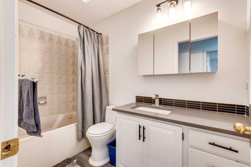 133 6 Avenue Se, Three Hills, AB - Indoor Photo Showing Bathroom